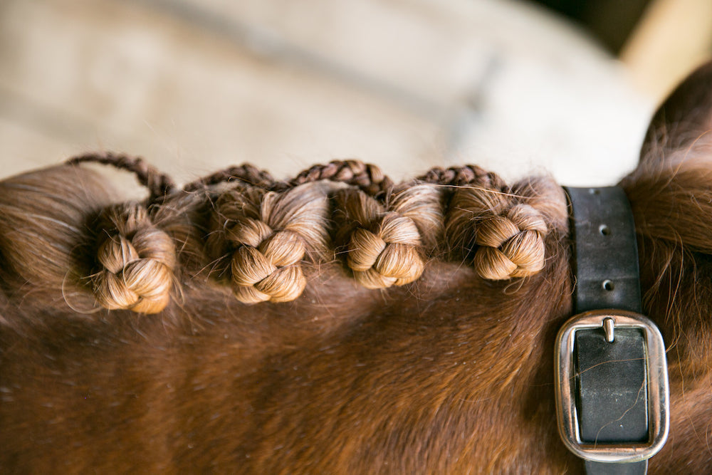 Clipping & Show Prep