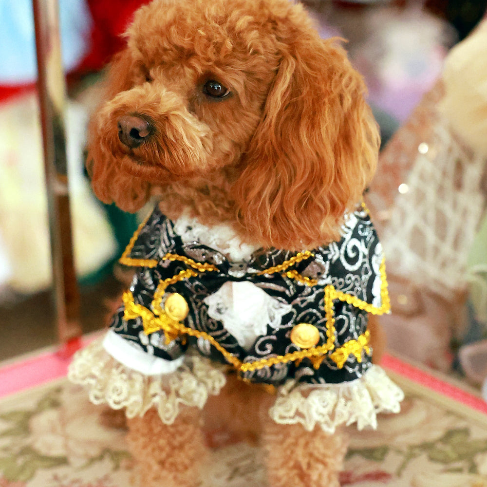 Pet Tuxedos & Formal Wear
