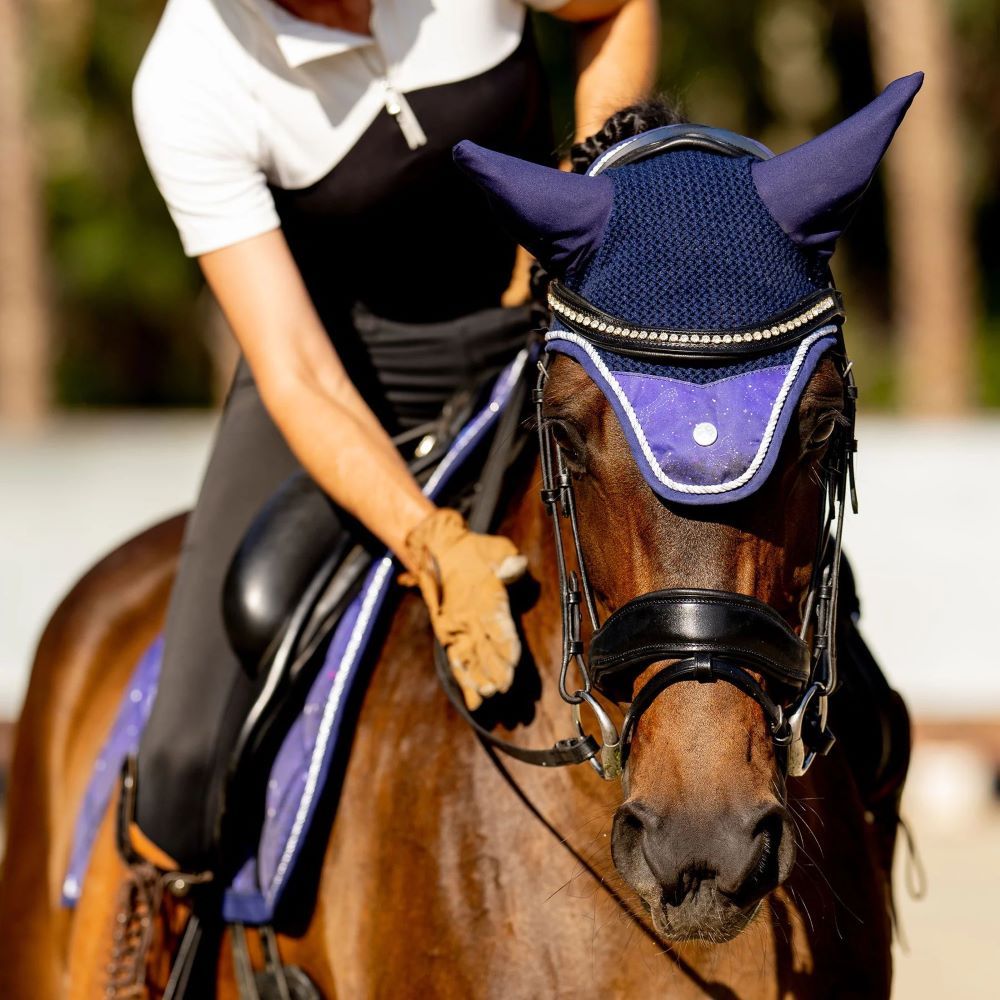 Horse Bonnets & Veils