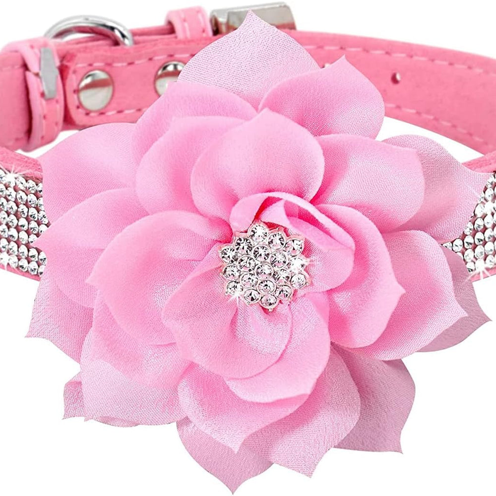 Think Pink