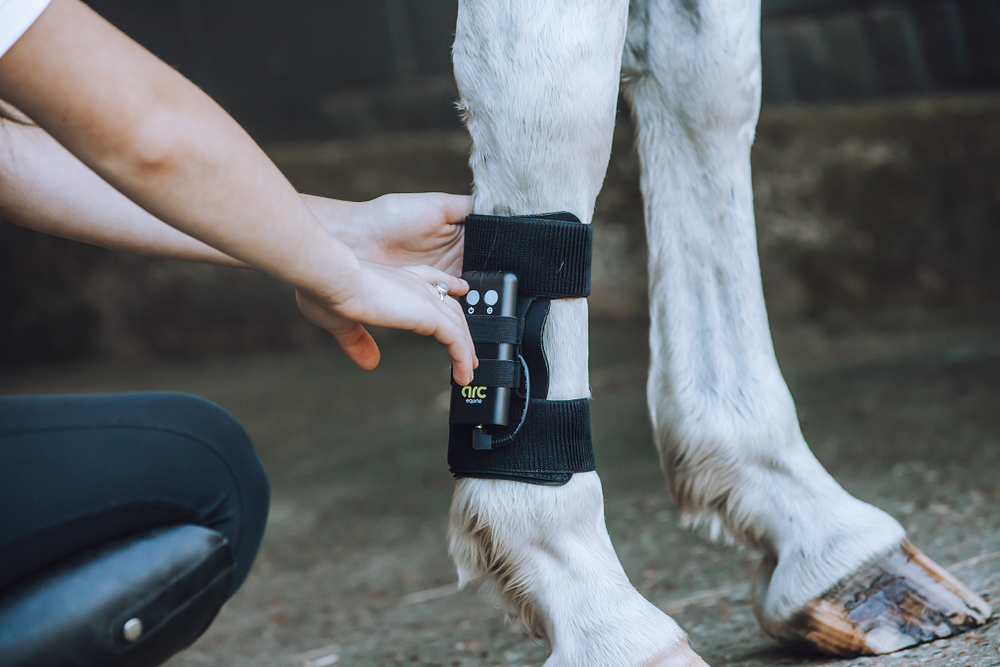 Equine Therapy Systems