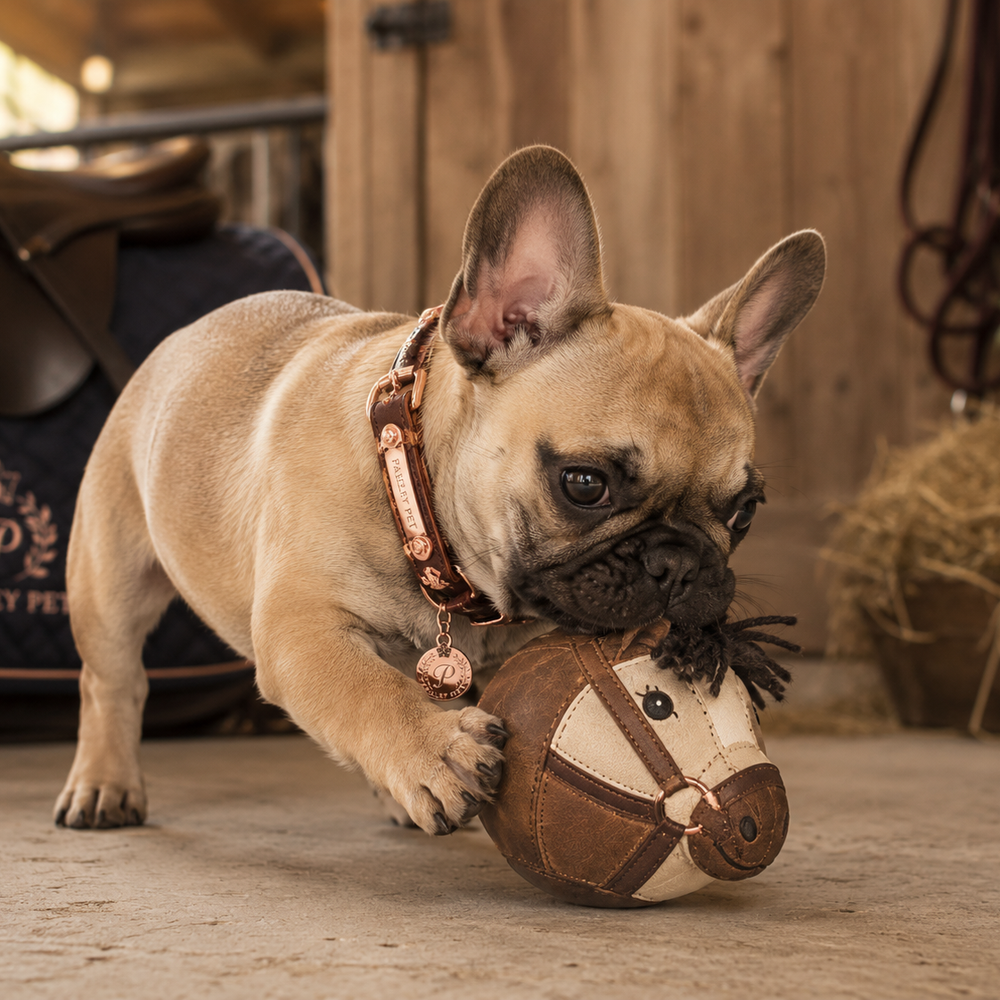 Canine Toys & Enrichment
