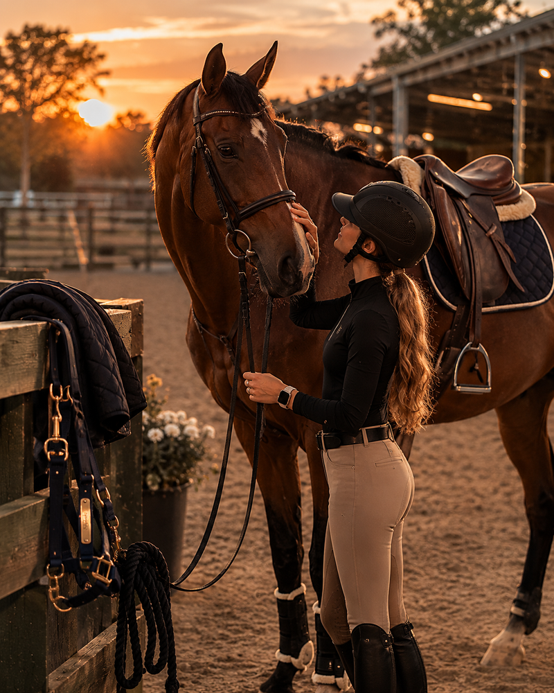 Equine