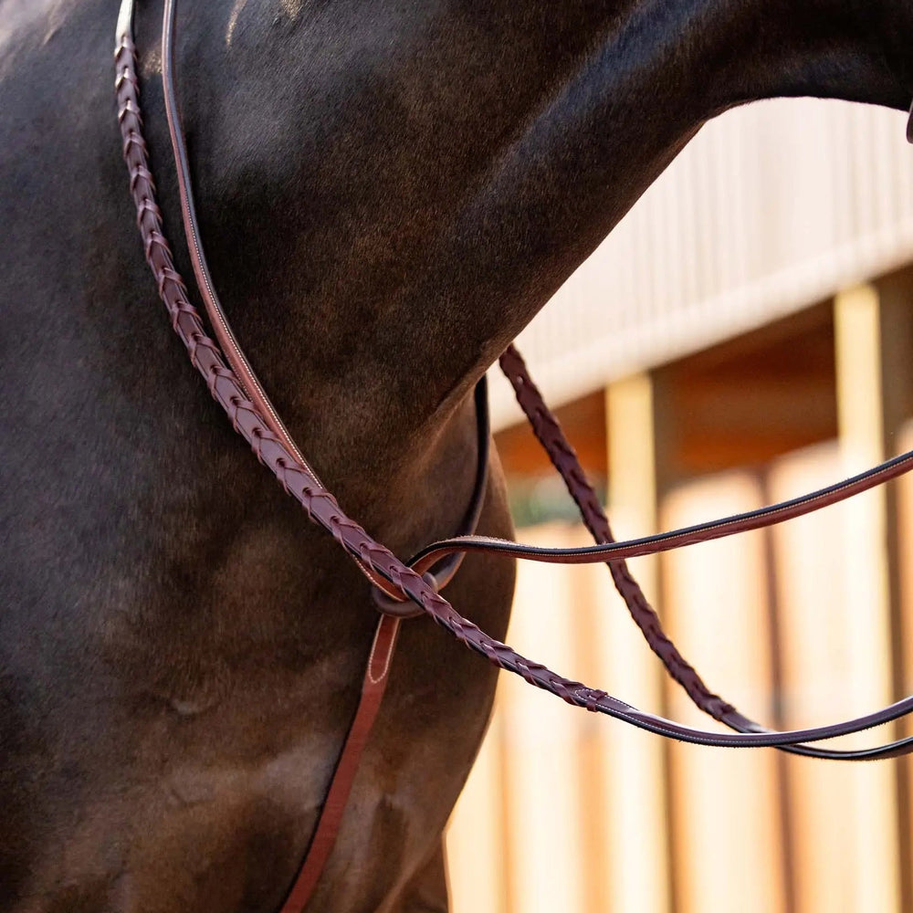 Martingales