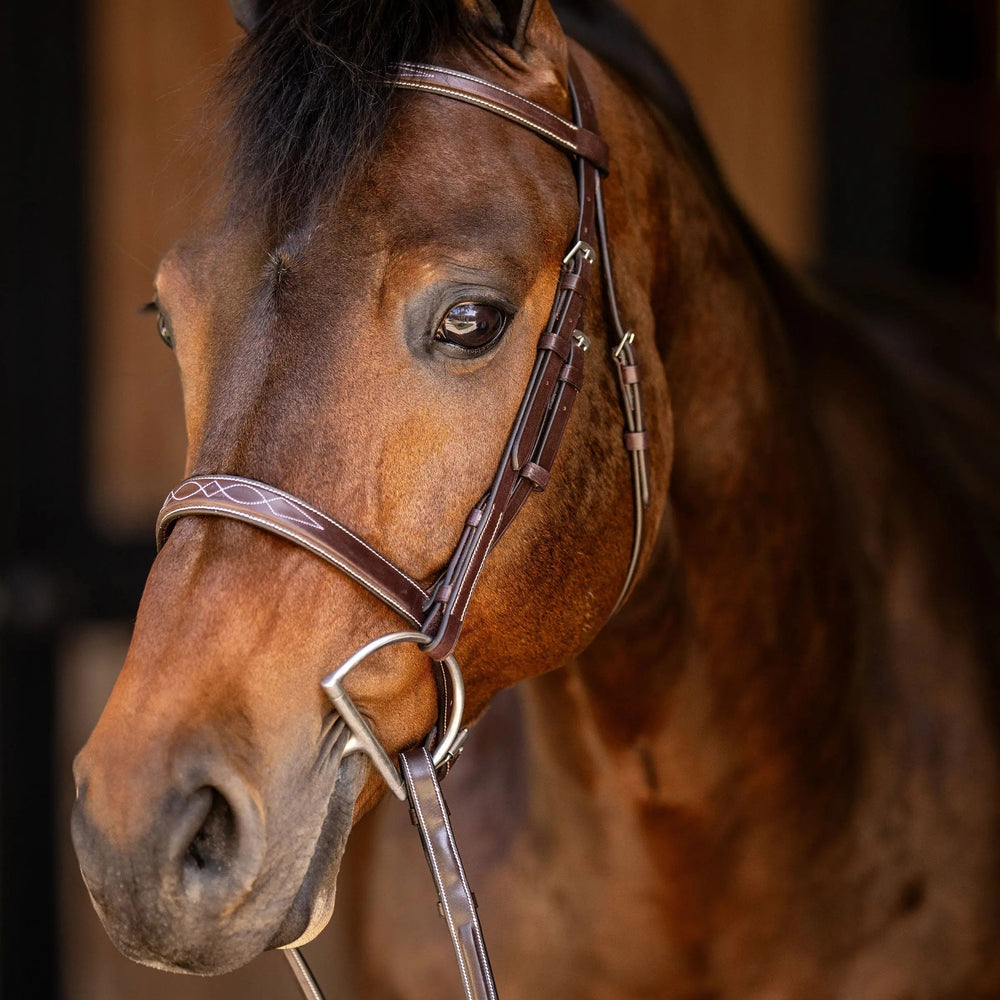 Pony Tack