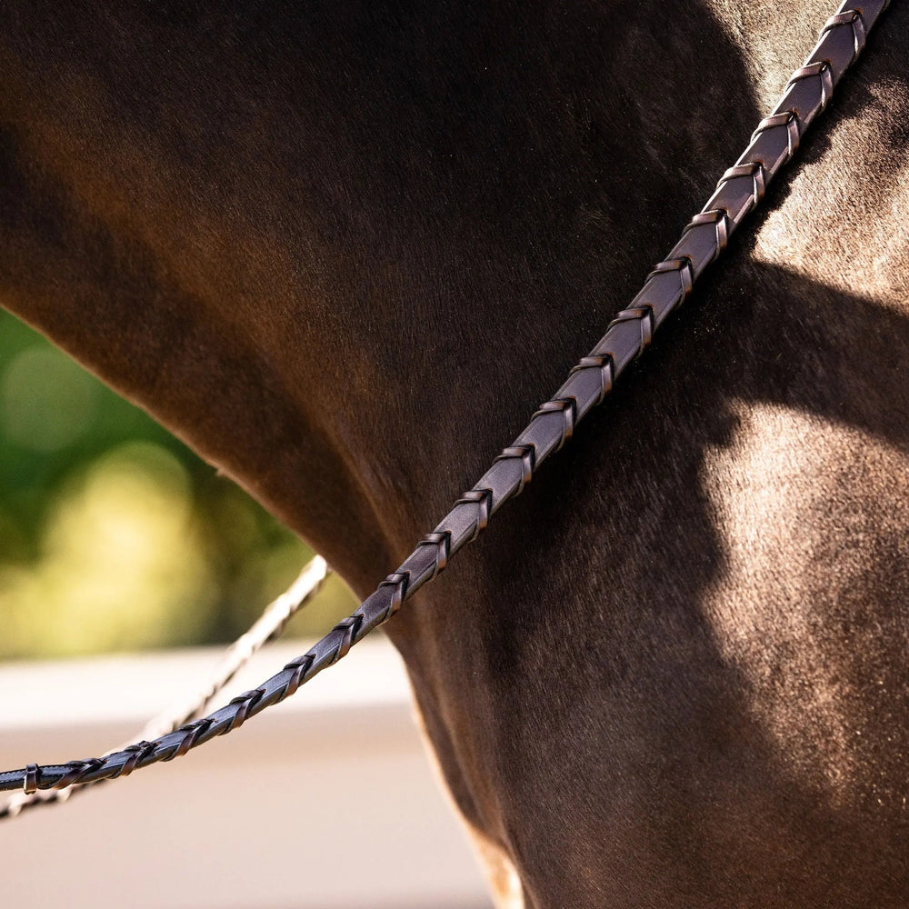 Reins