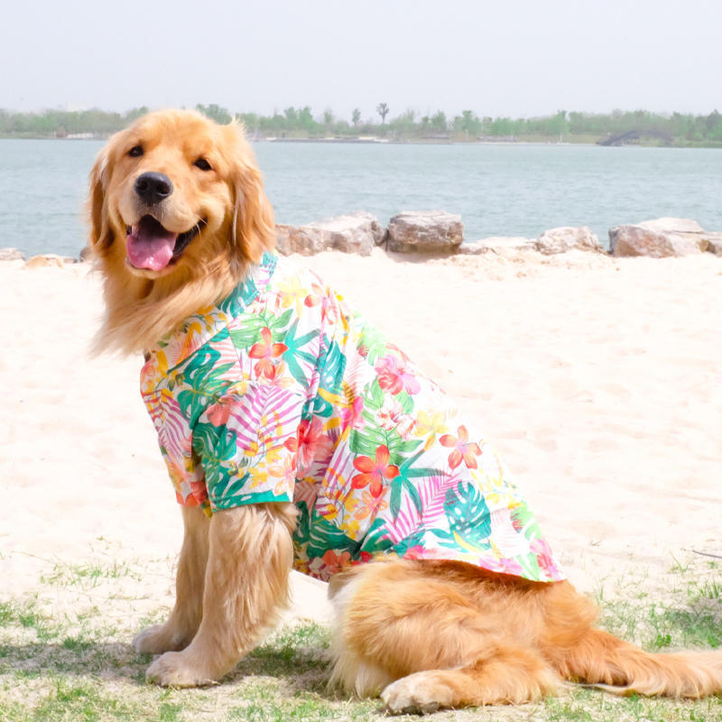 Pawsitively Seasonal Pet Apparel