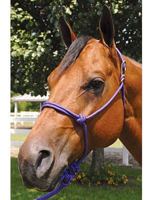 Rope & Specialty Halters