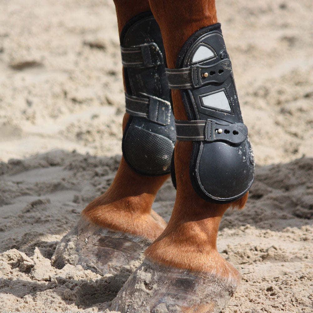 Horse Boots & Leg Wraps