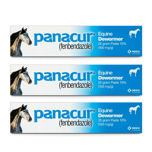 Panacur Equine Dewormer Paste 10% Fenbendazole – 3-Pack | Apple-Cinnamon
