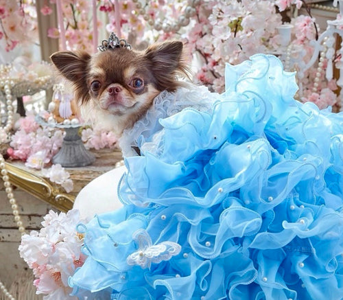 Handmade Sky Butterfly Princess Dog Dress – Luxury Blue Ruffle Ball Gown with Pearl Details