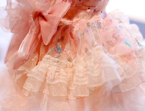Feather Dream Princess Dog Dress