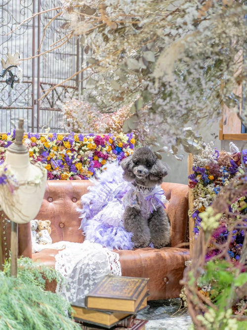 Feather Dream Princess Dog Dress