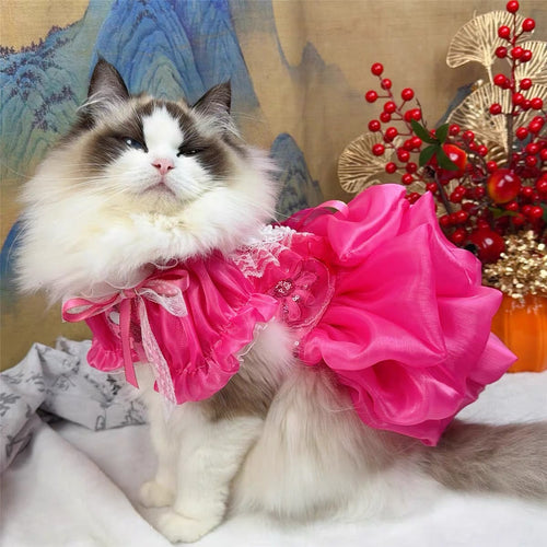 Elegant Hot Pink Lace Dog Party Dress
