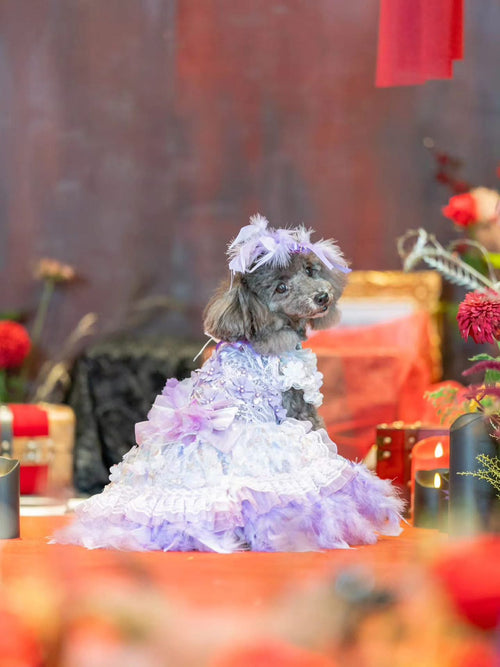 Feather Dream Princess Dog Dress