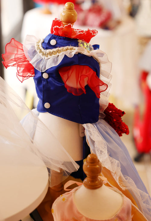 Luxury Fairytale Princess Dog Dress – Blue & Gold Royal Puppy Ball Gown with Sequin Bow Detail