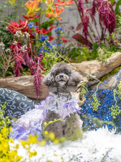 Feather Dream Princess Dog Dress