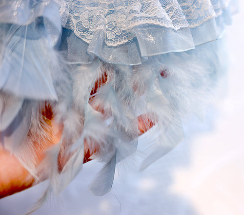 Feather Dream Princess Dog Dress
