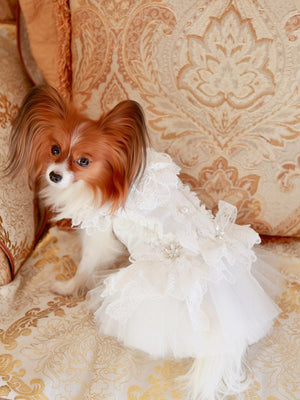 Handcraft White Lace Vintage Dog Wedding Dress Pet Bridal Outfit