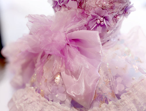 Feather Dream Princess Dog Dress