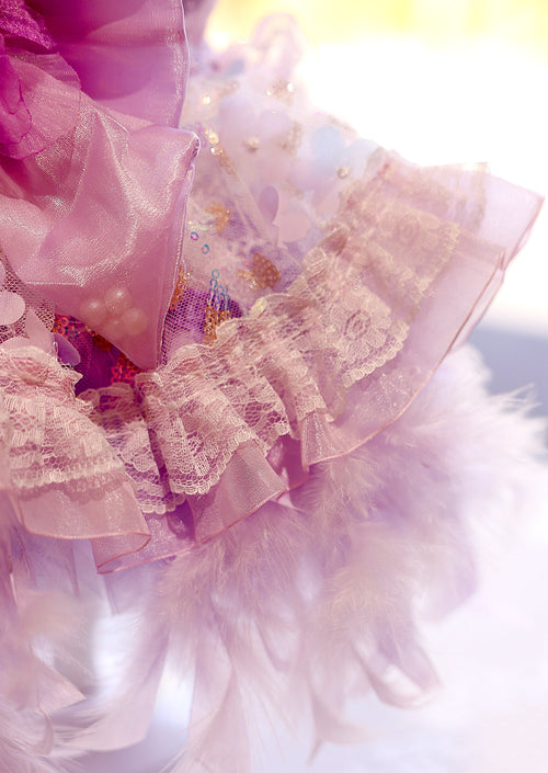 Feather Dream Princess Dog Dress