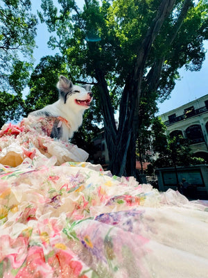 Blush Garden Princess Couture Dog Dress – Floral Ruffle Wedding Gown with Pink Bow Train
