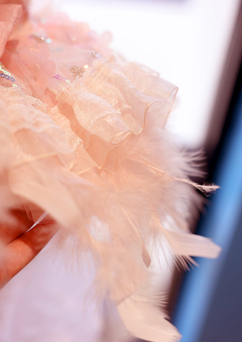 Feather Dream Princess Dog Dress