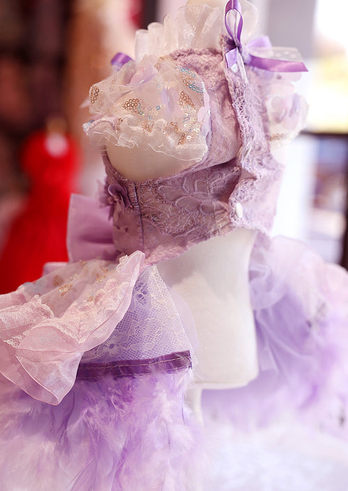 Feather Dream Princess Dog Dress