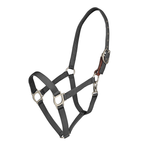 Color Collection by Ovation® Lucky Breakaway Halter - Black