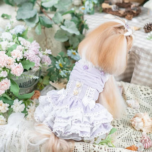Luxury design dog dress velvet rose 2 colors