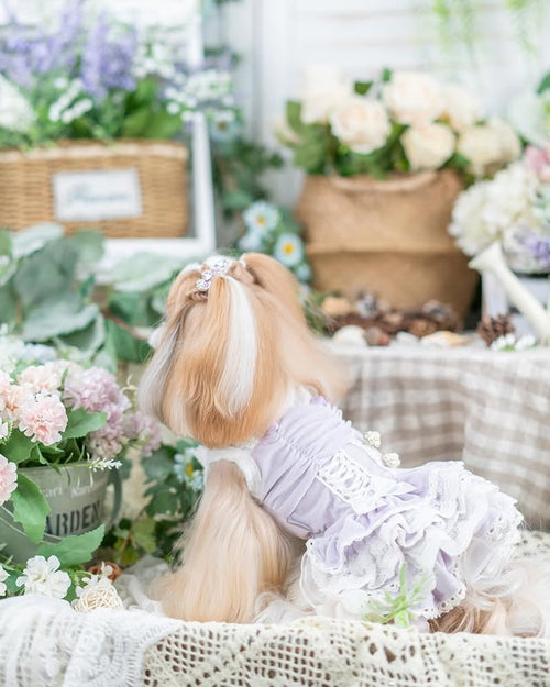 Luxury Lace Princess Dog Dress with Corset Bow | Boutique Small Dog Dress