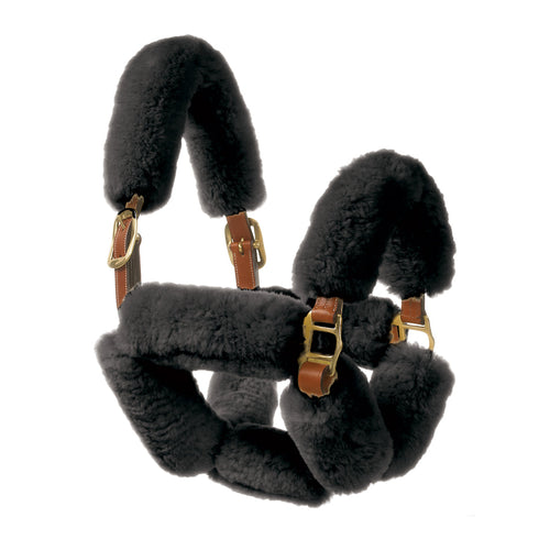 Europa Sheepskin 6-Piece Halter Set - Black