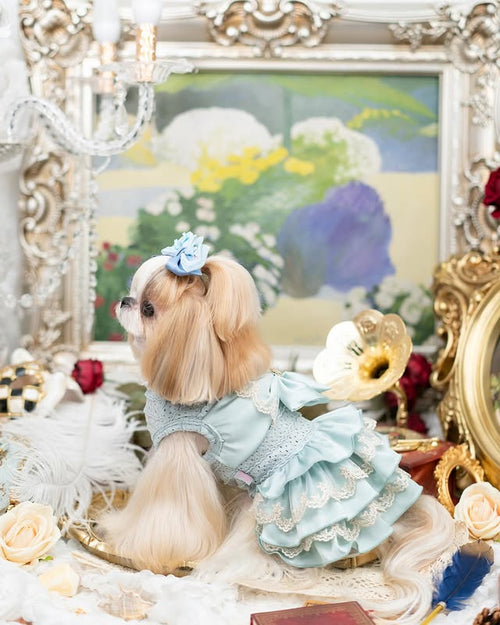 Luxury Princess Dog Dress with Big Bow | Lace Ruffle Puppy Party Dress
