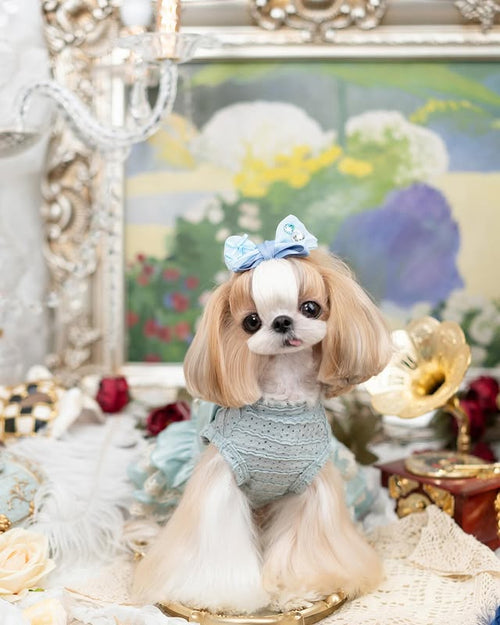Luxury Princess Dog Dress with Big Bow | Lace Ruffle Puppy Party Dress