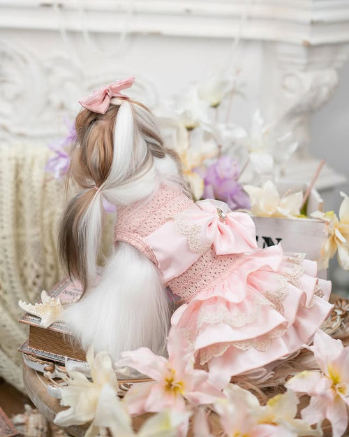 Luxury Princess Dog Dress with Big Bow | Lace Ruffle Puppy Party Dress