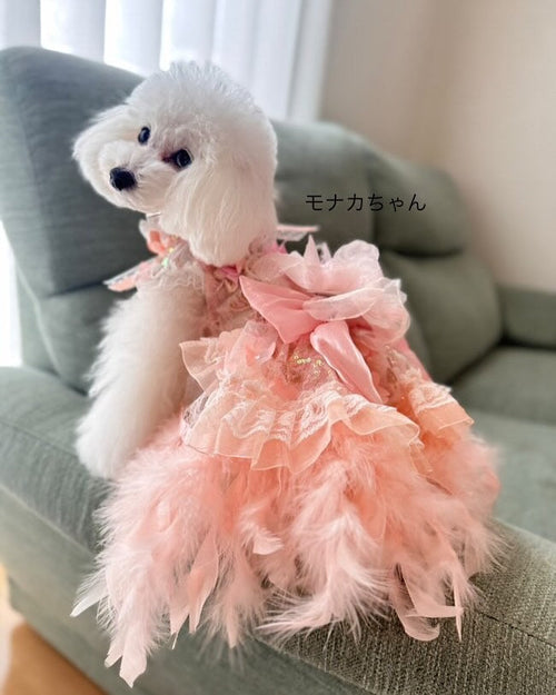 Feather Dream Princess Dog Dress