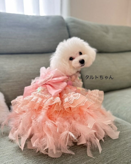 Feather Dream Princess Dog Dress