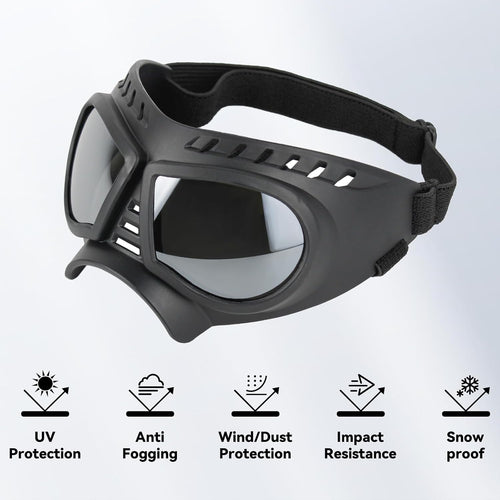 Dog goggles sunglasses skull