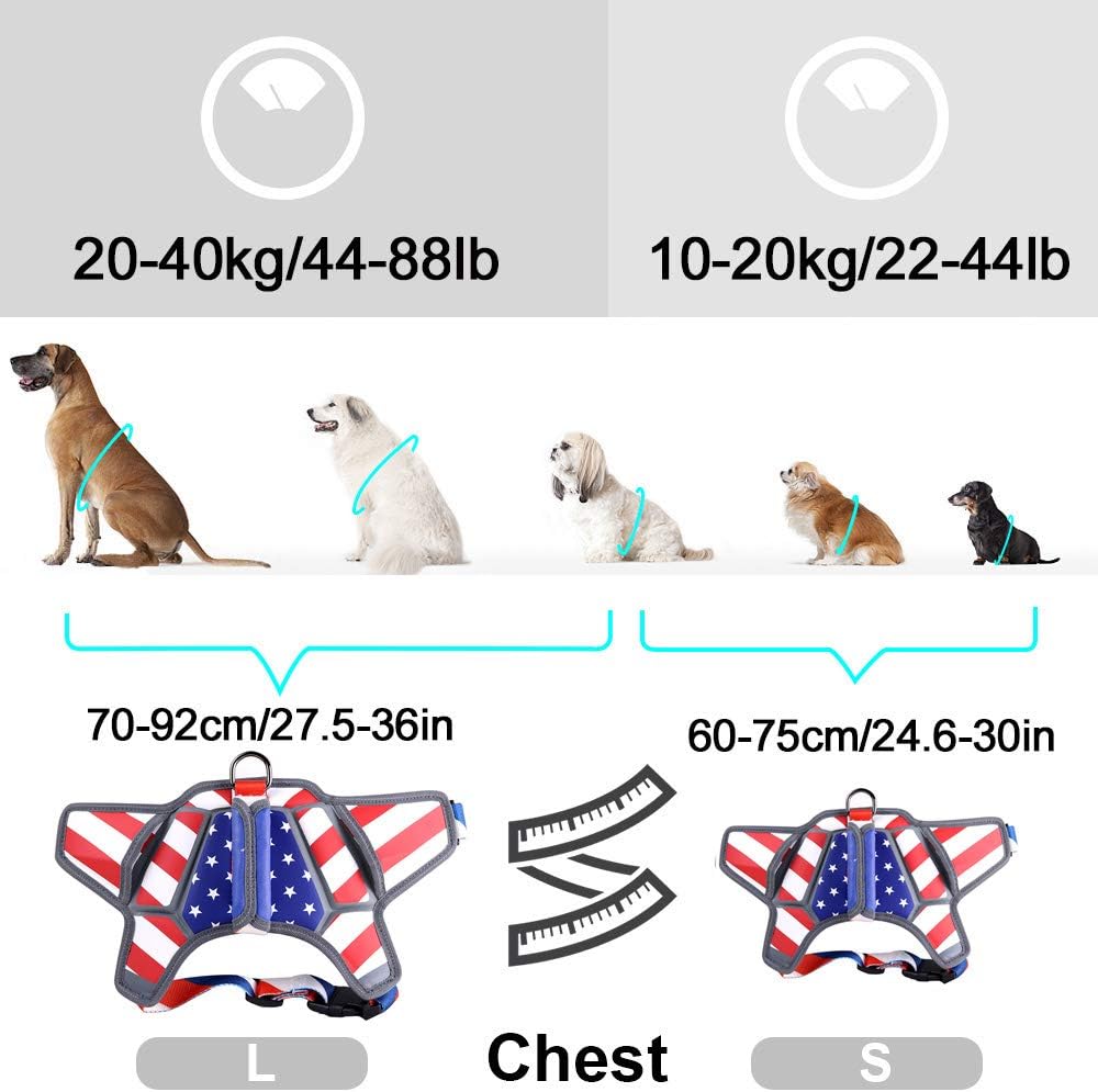 USA Patriotic Star Dog Harness + Leash Set