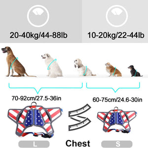 USA Patriotic Star Dog Harness + Leash Set