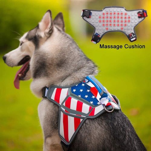 USA Patriotic Star Dog Harness + Leash Set