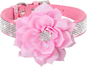 Rhinestone Sparkly Flower Dog Collar with Detachable Bloom