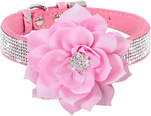 Rhinestone Sparkly Flower Dog Collar with Detachable Bloom