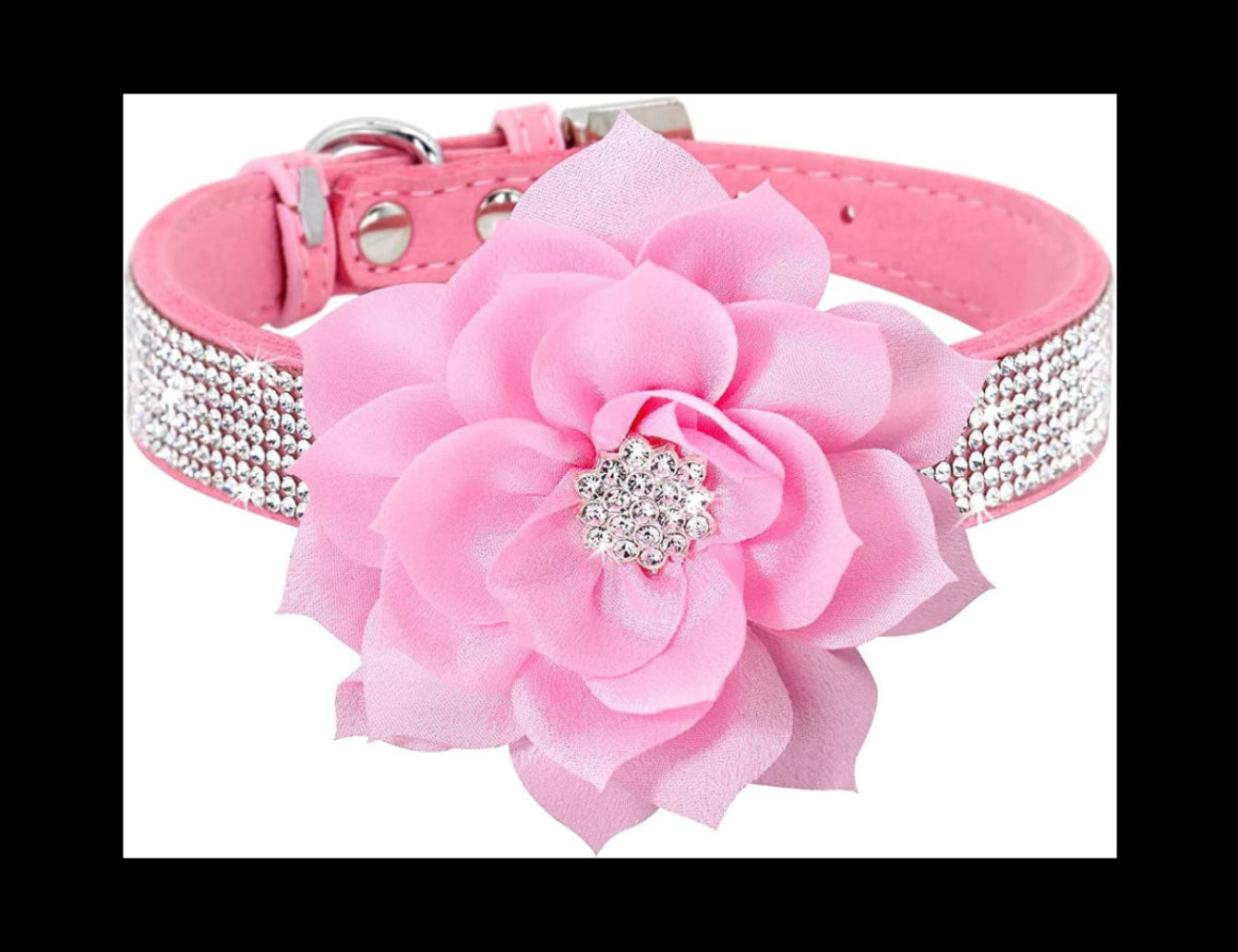 Think Pink