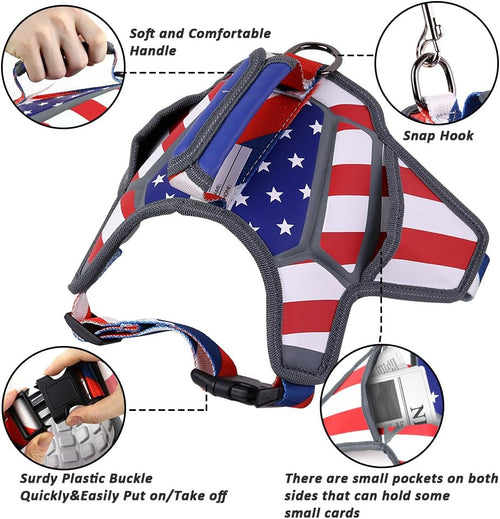 USA Patriotic Star Dog Harness + Leash Set
