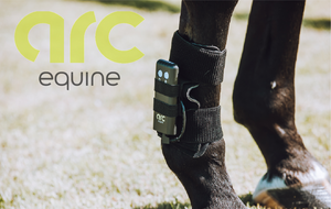 ARC Equine Therapy System Carbon Rubber Pads