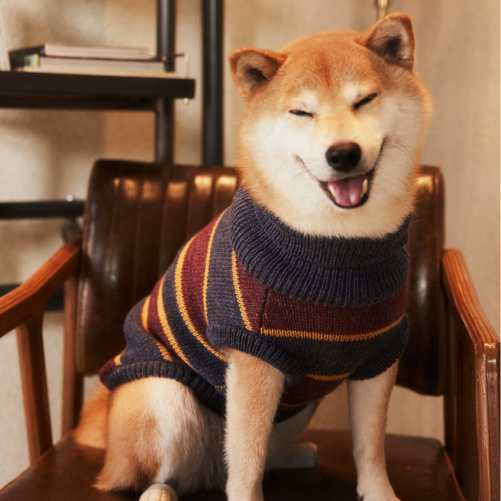The Chai | Gray & Mustard Striped Turtleneck Dog Sweater