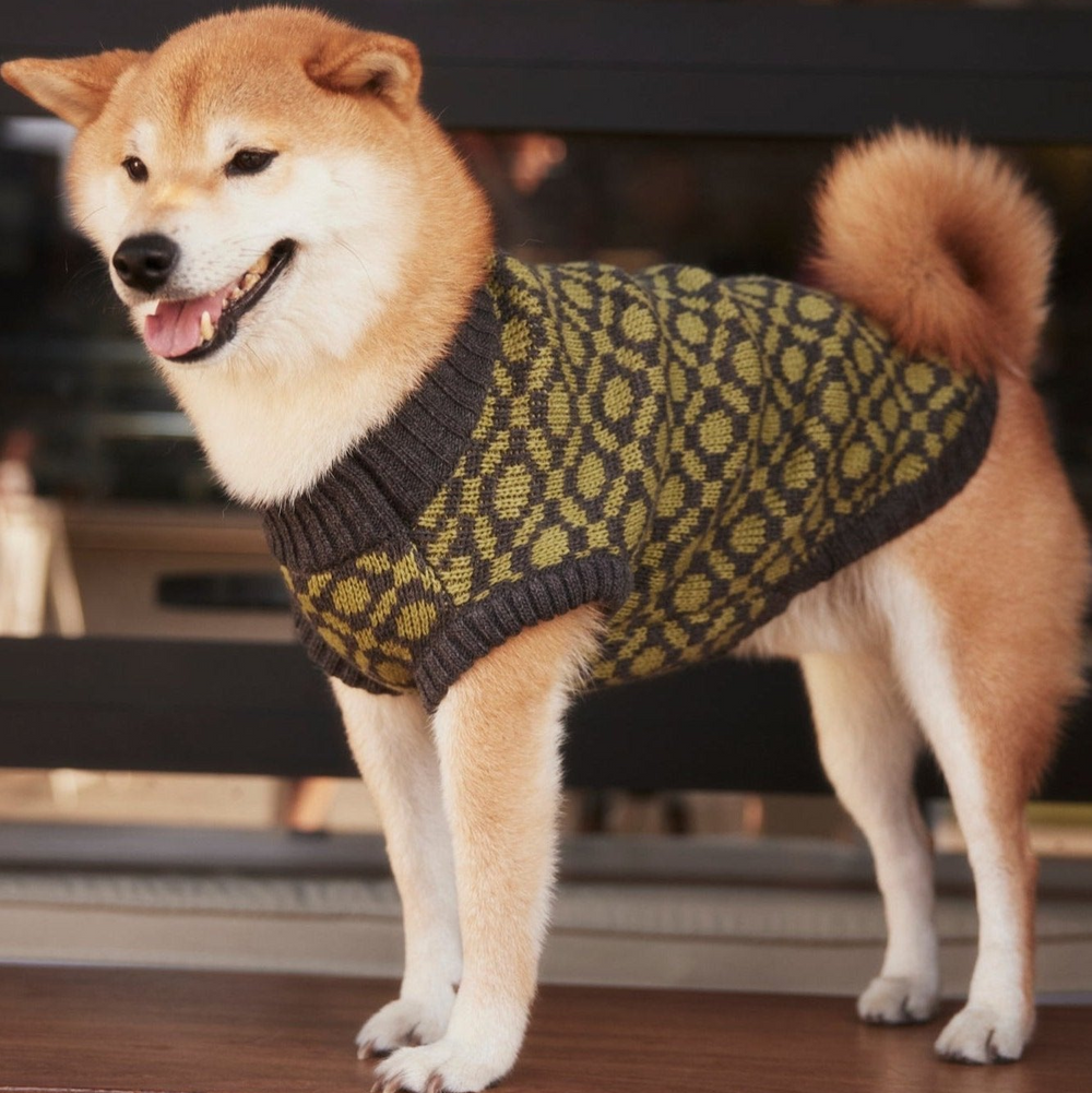The Matcha | Olive Green Ribbed Knit Dog Sweater