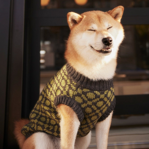 The Matcha | Olive Green Ribbed Knit Dog Sweater