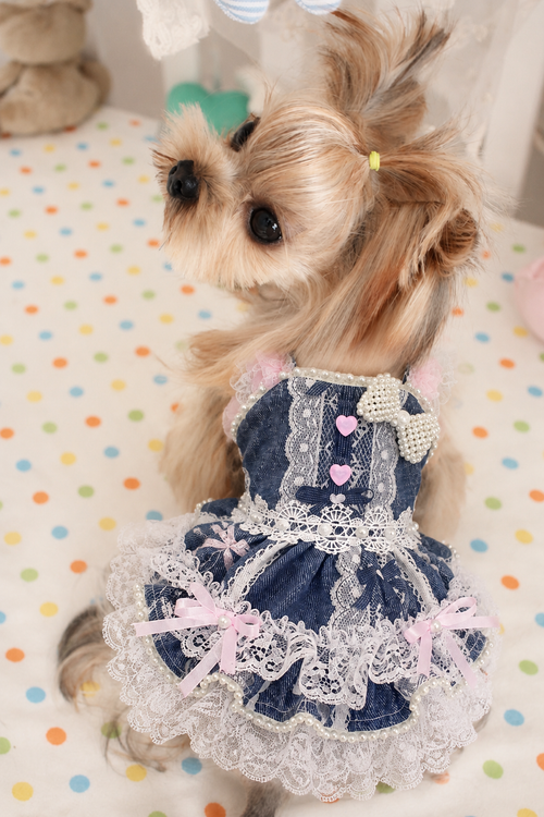 Handmade Denim Lace Pet Dress